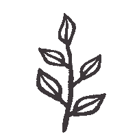 Flower Plant Sticker by Camif