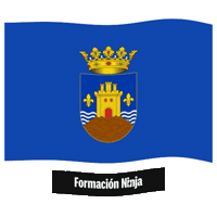 Comunidad Valenciana Flag Sticker by Formación Ninja