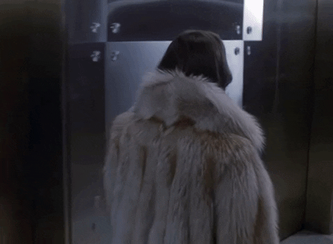 furglamor giphyupload waiting fur furglamor GIF