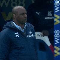 Happy Premier League GIF by CPFC