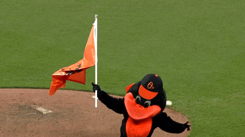 Mascot Oriole Bird GIF by Baltimore Orioles