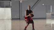 GIF by Giffffr