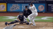 Jomboy  GIF