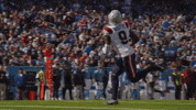 Football Nfl GIF by New England Patriots