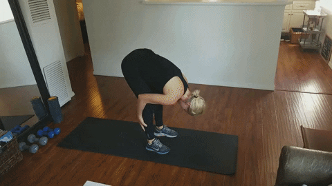 jackrabbit22 giphyupload GIF