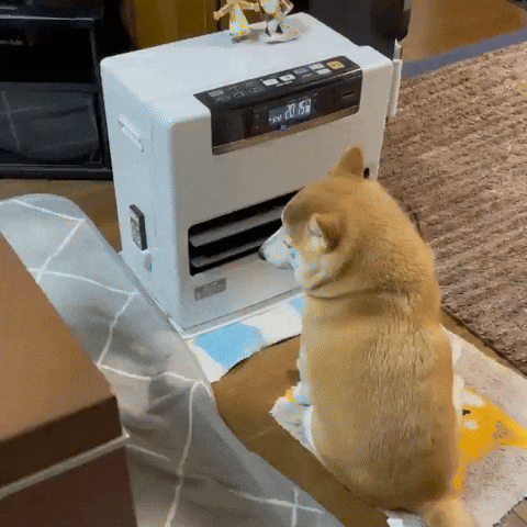 cuteanimalland giphyupload GIF