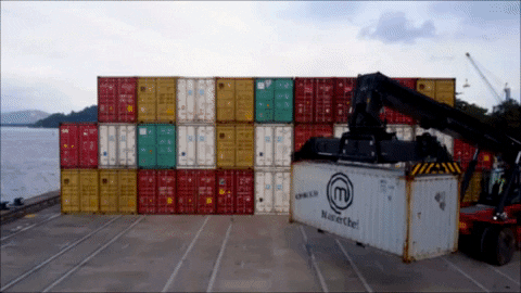 GIF by MasterChef Brasil