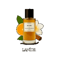 Magic Amber Sticker by Lanior