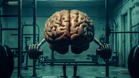RaphaelJolicoeur giphyupload GIF