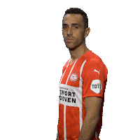 Football Celebrate Sticker by PSV