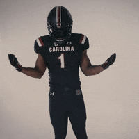 South Carolina Gamecocks Usc GIF by gamecocksonline