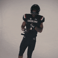 South Carolina Gamecocks Dancing GIF by gamecocksonline