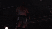 Wpw Uncensored GIF by SHWAperth