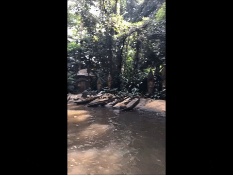 lesleywake giphygifmaker GIF