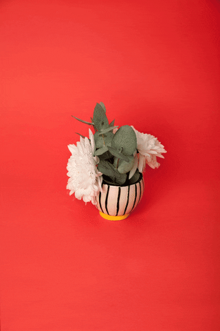 Design Flower GIF by Les canailles
