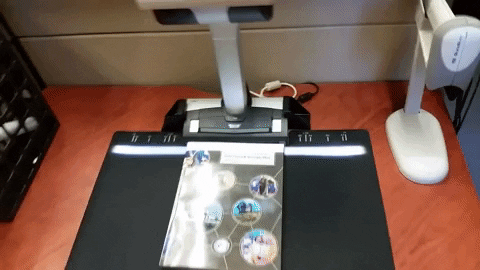 alysongee giphygifmaker GIF