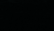Tampa Usf GIF by University of South Florida
