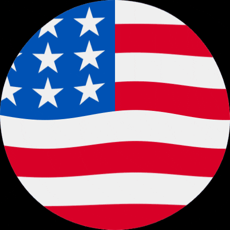 VoiceCrafters trump flag usa vote GIF