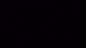 The End Yes GIF by more love