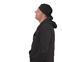 the boy next door artist Sticker by Dedicated Management