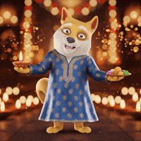 Happy Festival Of Lights GIF by Doge Pound