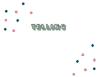 Wedding Photography Sticker by Imagenic