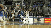NevadaWolfPack college basketball nevada wolf pack unr GIF