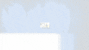 GIF by The Maury Show