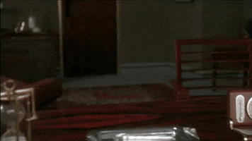 bill murray GIF by hero0fwar