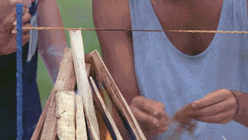 survivorau GIF by Australian Survivor