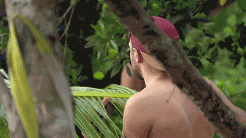 australia GIF by Australian Survivor