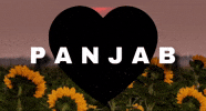 Punjabi GIF
