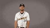 Cal State La Baseball GIF by Cal State LA Golden Eagles