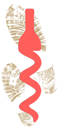 Wine Colors Sticker by Vino Los Pasos