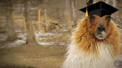 Awesome Hallmark Ecards GIF by Hallmark Gold Crown