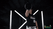 Tulane Rollwave GIF by GreenWave