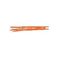 Orange Line Sticker by Kristen Hadeed
