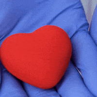 Valentines Day Love GIF by TRT