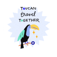 Travel Wednesday Sticker by Expedia Group