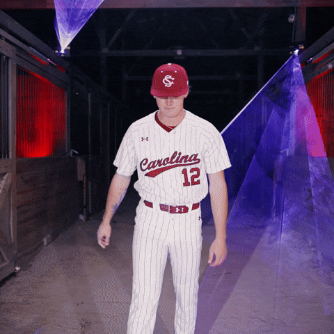 Home Run Celebration GIF by Gamecock Athletics