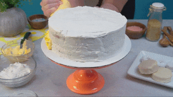 birthday cake GIF by evite