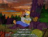 homer simpson GIF
