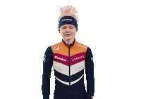 Shapevisions teamnl schaatsen xv shapevisions Sticker