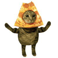 the_pizzacat cat cats pizza flexing Sticker