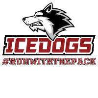 Hockey Bozeman Sticker by BozemanIcedogs
