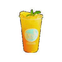ErvaBrewCo yerba mate yerbamate passionfruit erva Sticker