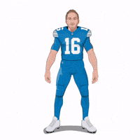 Be Quiet Detroit Lions GIF by SportsManias