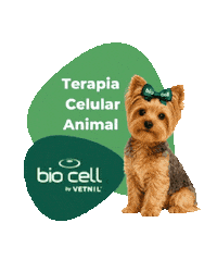 Terapia Celular Sticker by BIO CELL by Vetnil