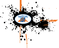 Ball Floorball Sticker by HSP Gripen