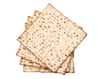 Jewish History Sticker by Alma